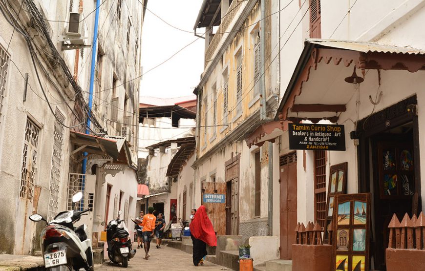 Stone Town and Prison Island Tour