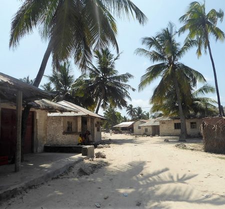 Matemwe Village Tour