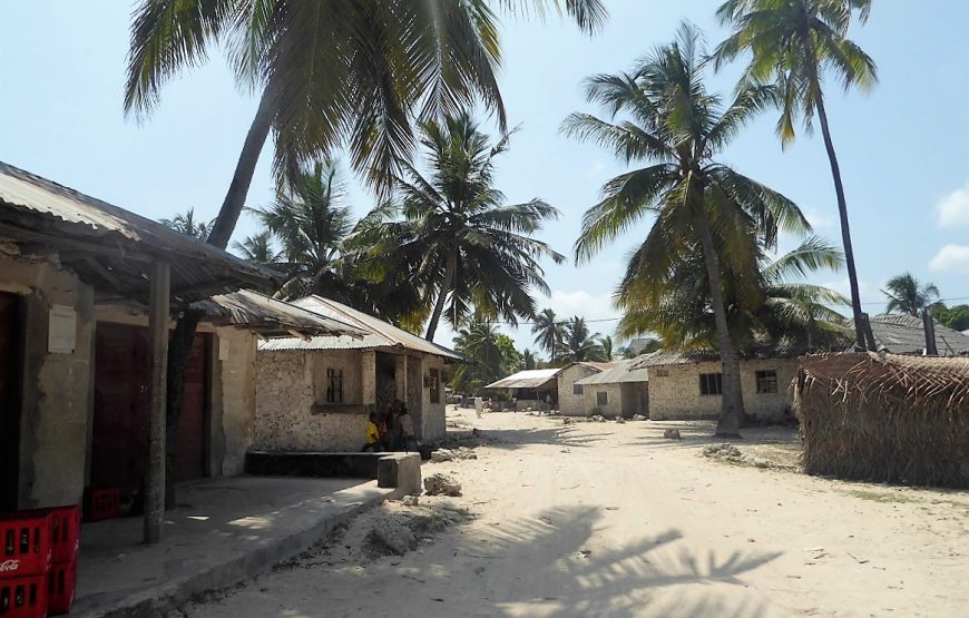 Matemwe Village Tour