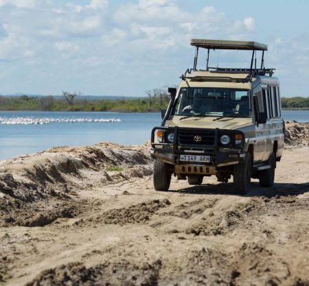 2days Saadani National Park