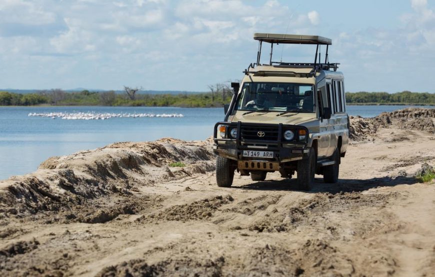 Day Trip To Saadani National Park