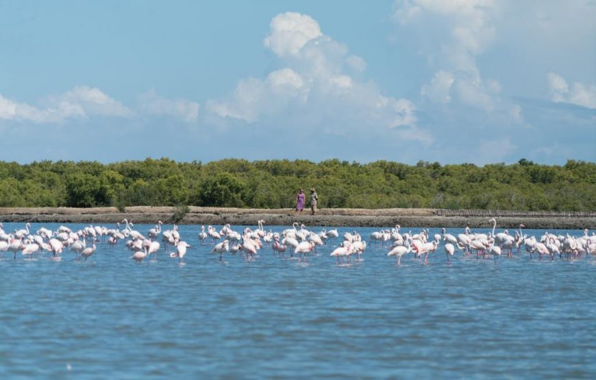 Day Trip To Saadani National Park