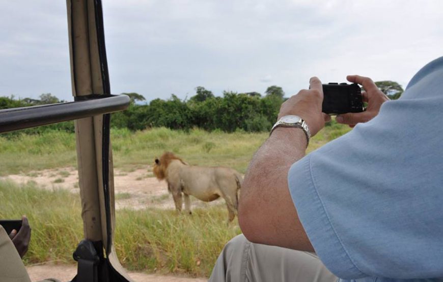 2 Days Ruaha National Park