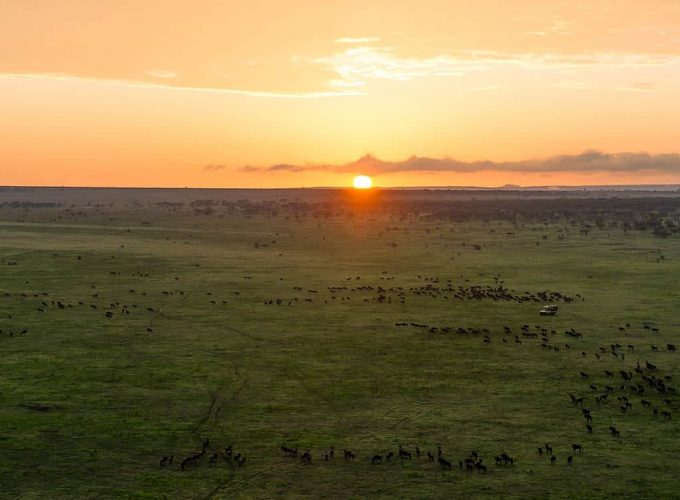 3 Days 2 Nights Central Serengeti