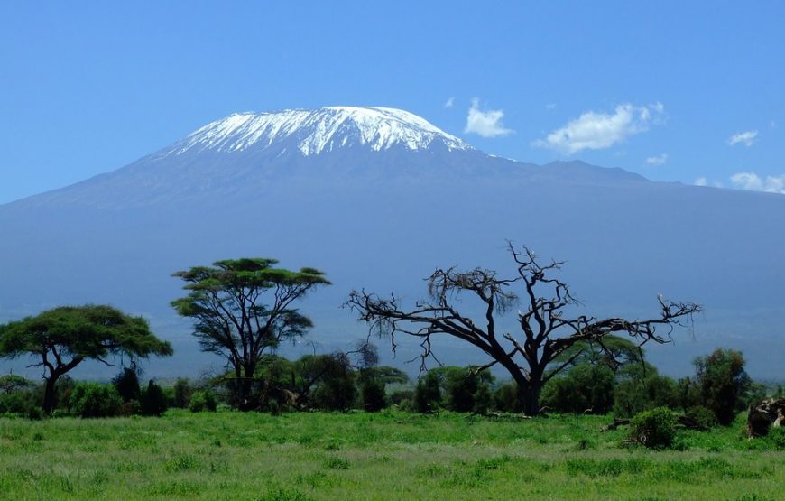 5 Days Kilimanjaro Marangu Route