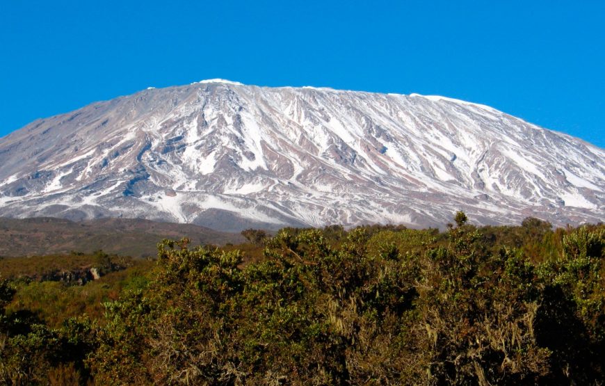 6 Days Kilimanjaro Rongai Route