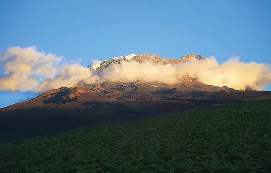 6 Days Kilimanjaro Rongai Route