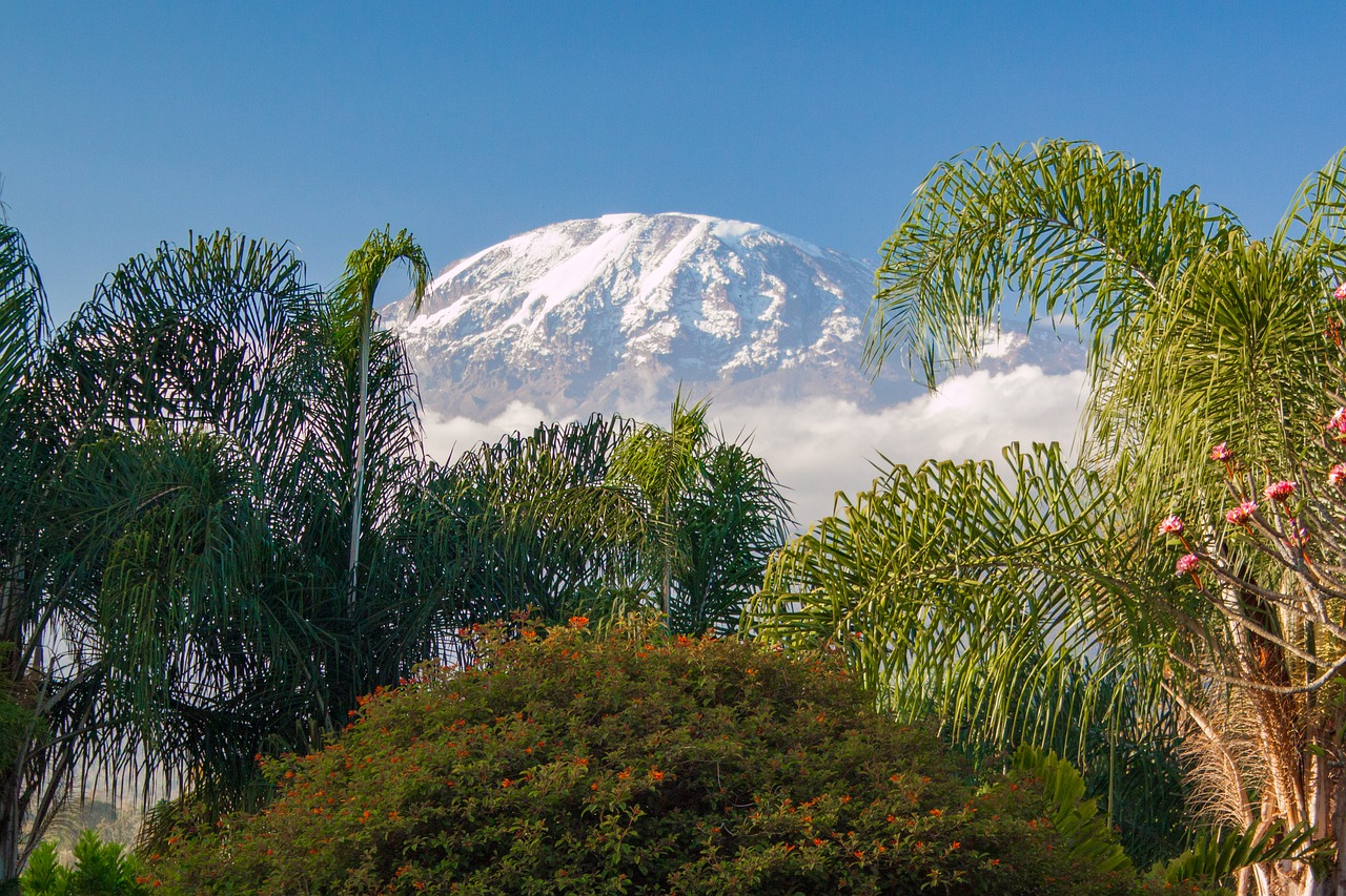 Day 2: Machame Camp (2980 m) – Shira Camp (3840 m)