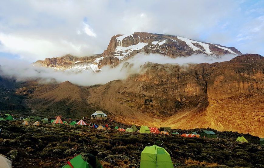 5 Days Kilimanjaro Marangu Route