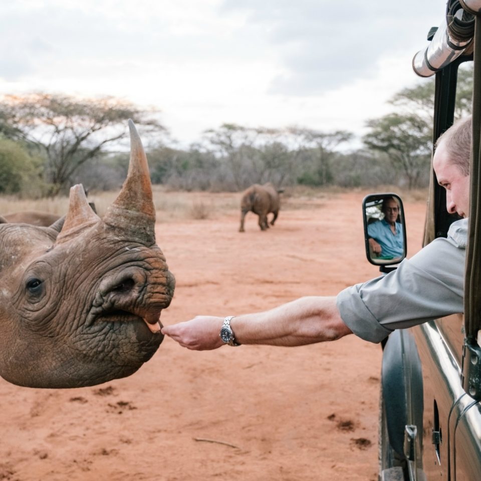 Full Day Trip to Mkomazi National Park From Zanzibar