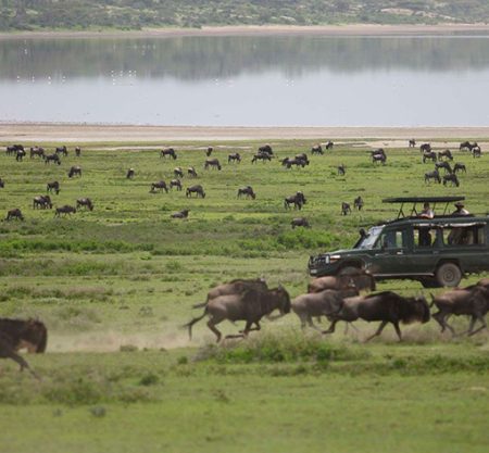 4 Days Serengeti National Park