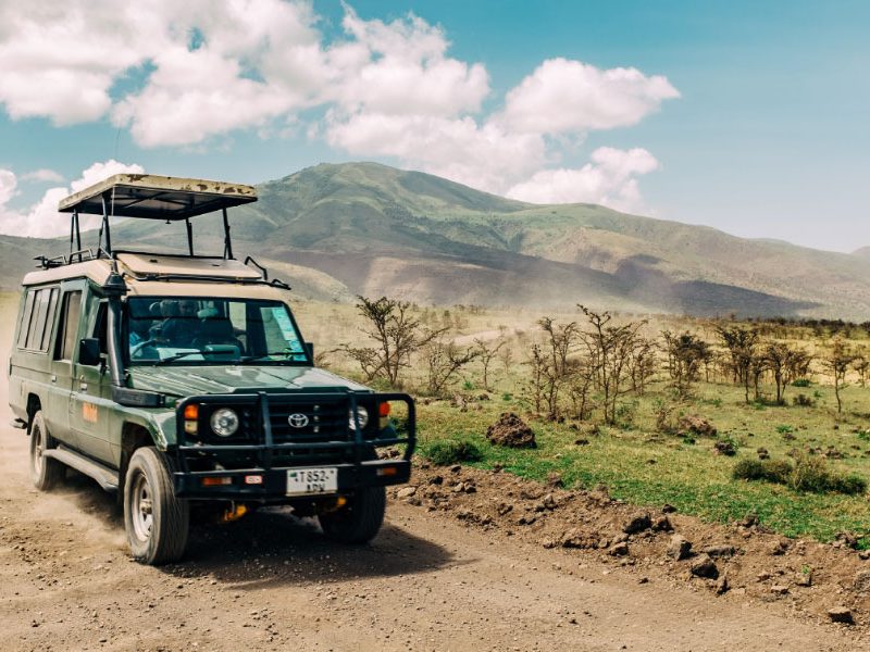 1 Day Serengeti Safari