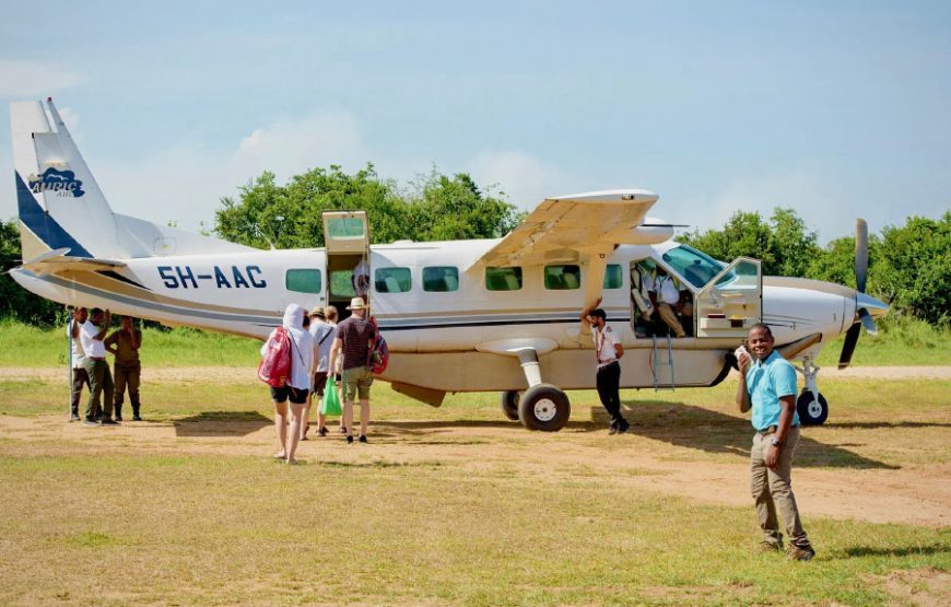 4 Days Selous Flying Safari