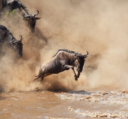 5 Days Serengeti Great Migration Safari