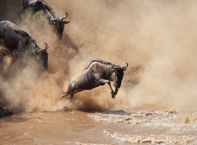 5 Days Serengeti Great Migration Safari