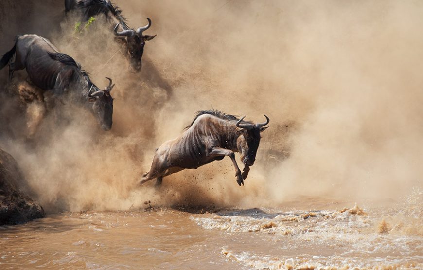 5 Days Serengeti Great Migration Safari