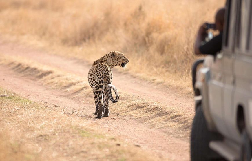 7 Days Tanzania Safari From Zanzibar