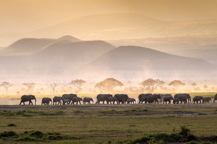 DAY 3 - LAKE MANYARA-SERENGETI NATIONAL PARK