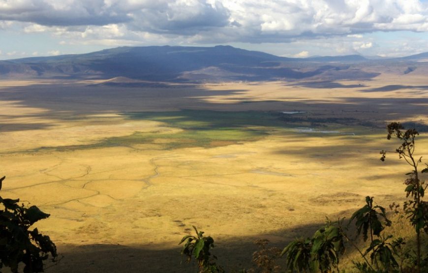 2 Days Ngorongoro and Manyara