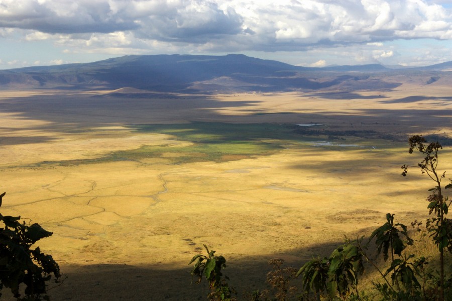 DAY 7 - NGOROGNORO CRATER - ARUSHA - ZANZIBAR