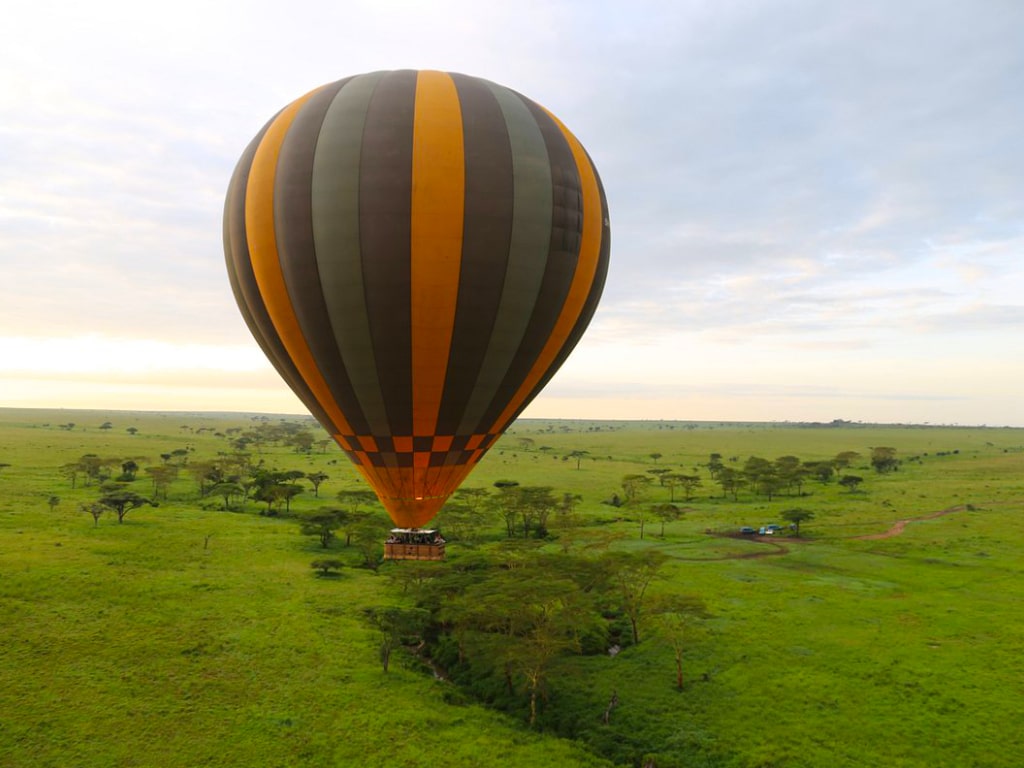 DAY 2: Full Day Safari including Balloon Safari.